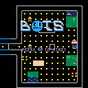 BOTS